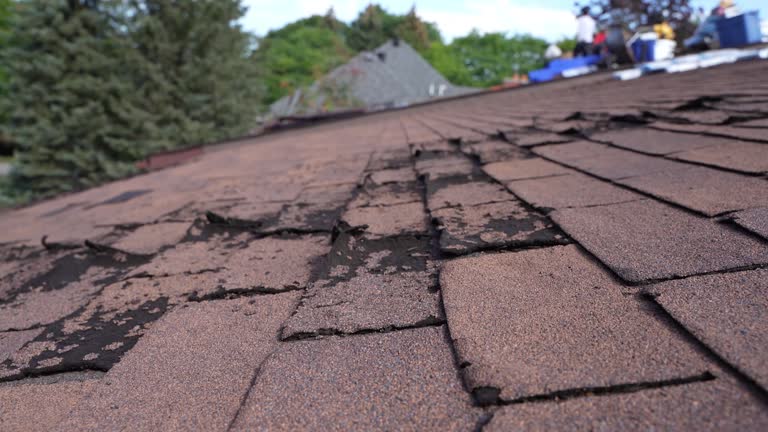 Best Asphalt Shingles Roofing  in Hyattsville, MD